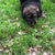 Thumbnail: Amos (Reserved)
