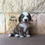 Thumbnail: Elmo (Reserved)