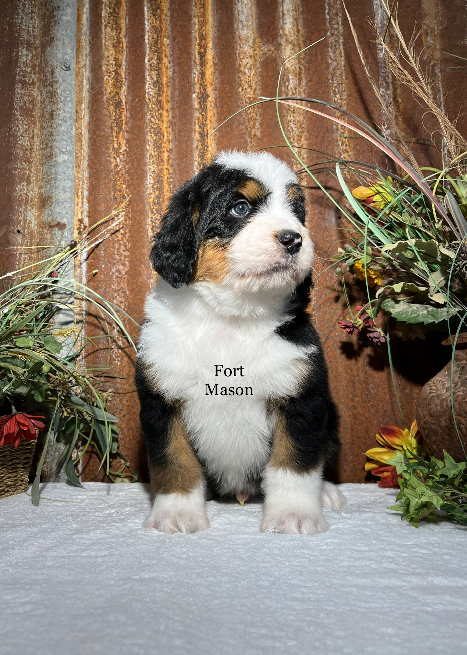 X-Man (Reserved)
