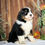 Thumbnail: Wanda (Reserved)