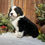 Thumbnail: Xena (Reserved)