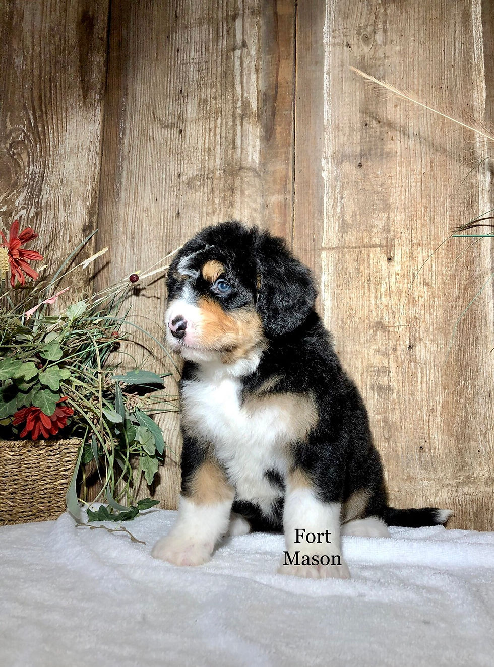 Thumbnail: Irene (Reserved)