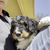 Thumbnail: Alvin (Reserved)