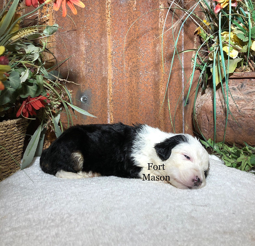 Thumbnail: Waldo (Reserved)