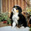 Thumbnail: Ruby (Reserved)