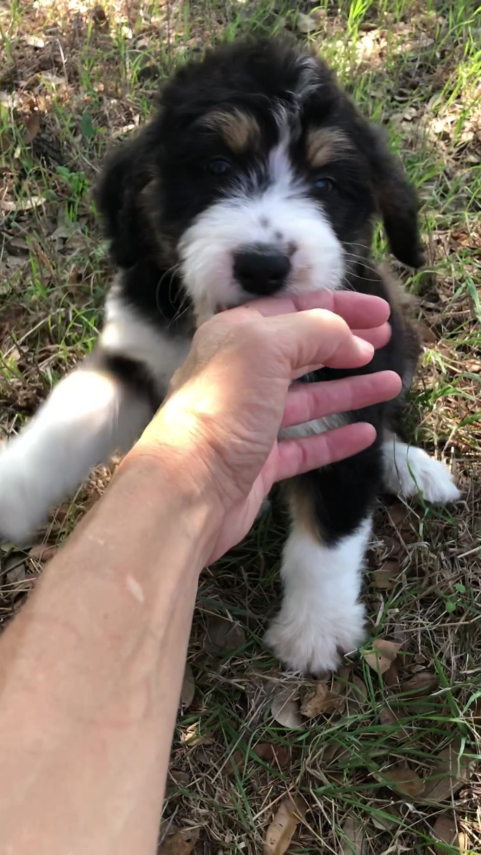 Thumbnail: Irma (Reserved)