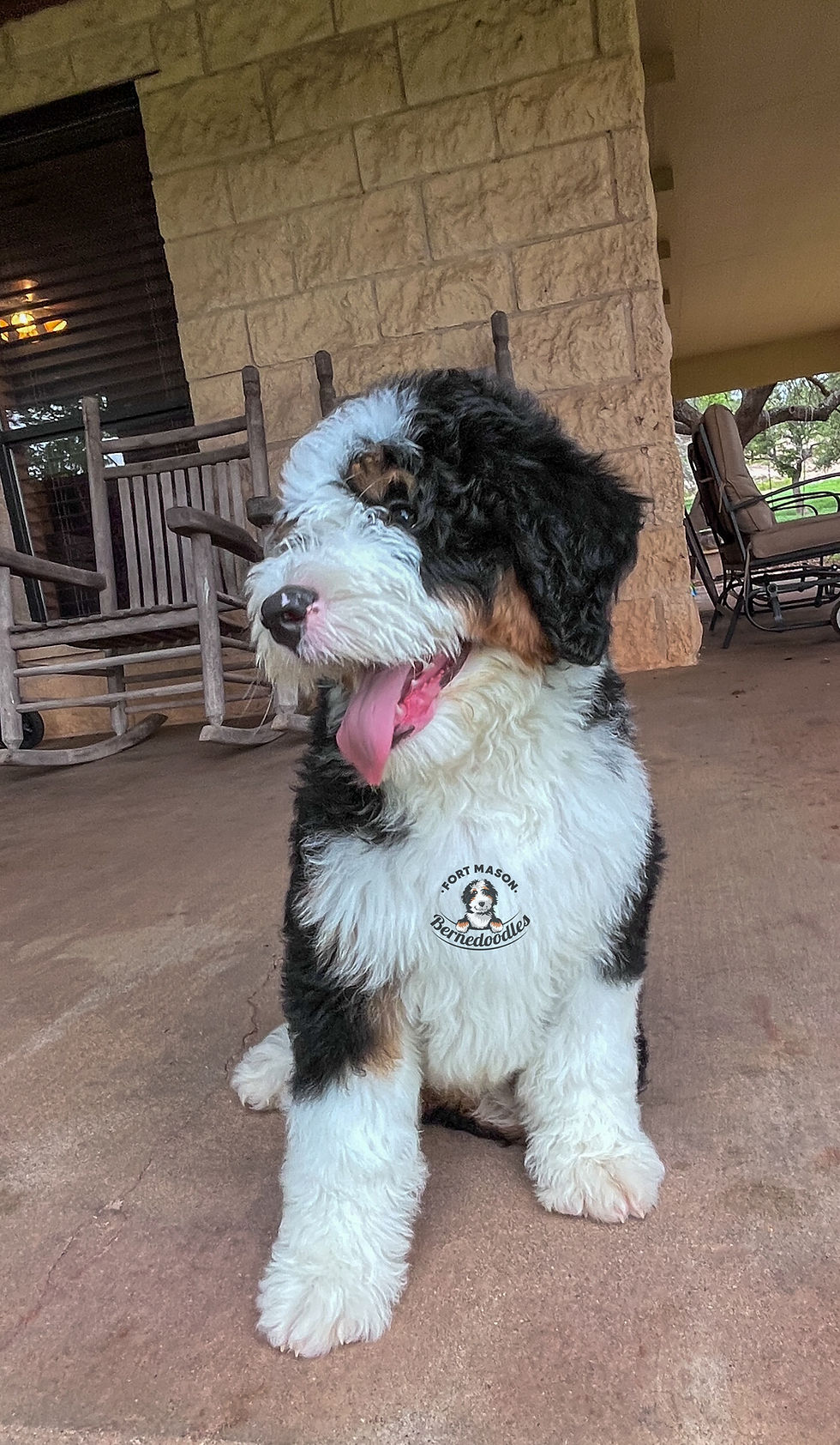 Thumbnail: Elvis (Reserved)