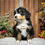 Thumbnail: Yuma (Reserved)