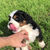 Thumbnail: Benson (Reserved)