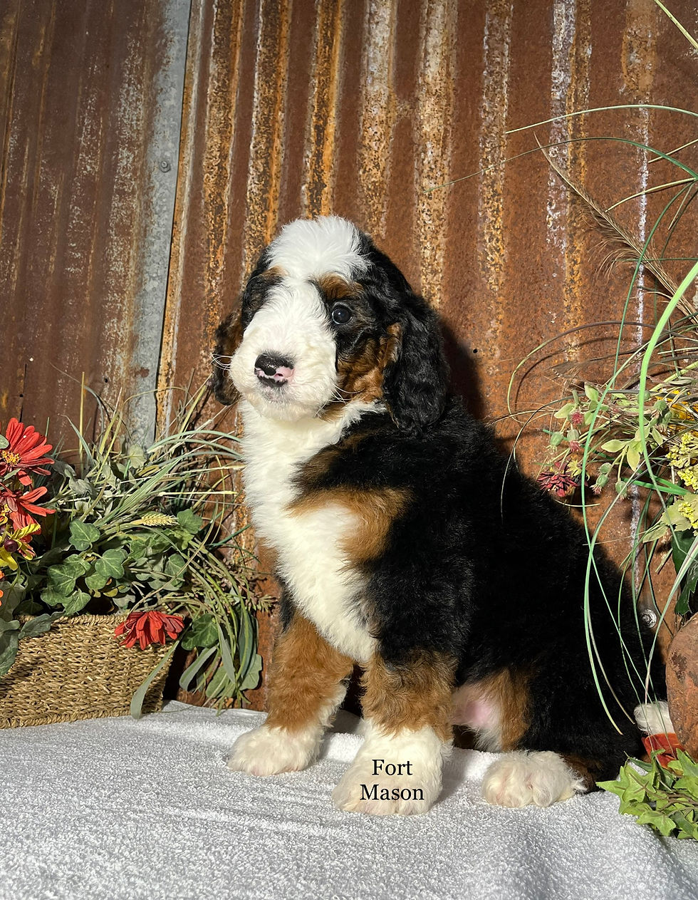Thumbnail: Quigley (Reserved)