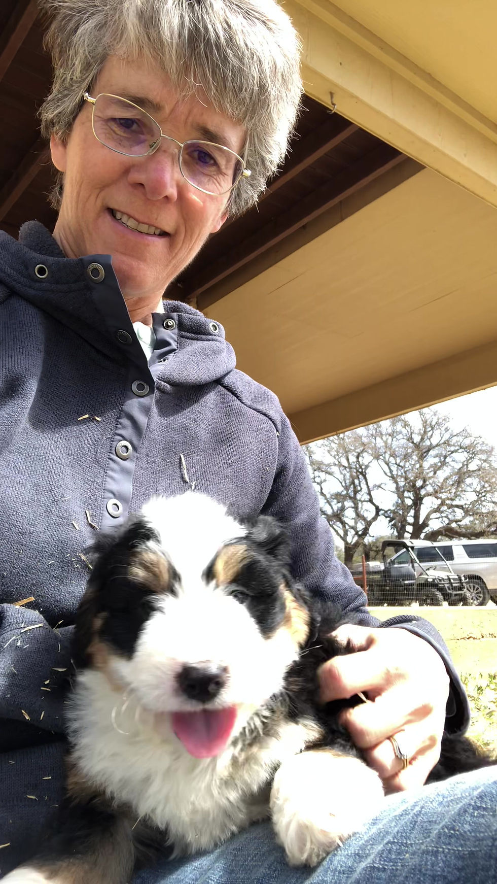Thumbnail: Tyson (Reserved)