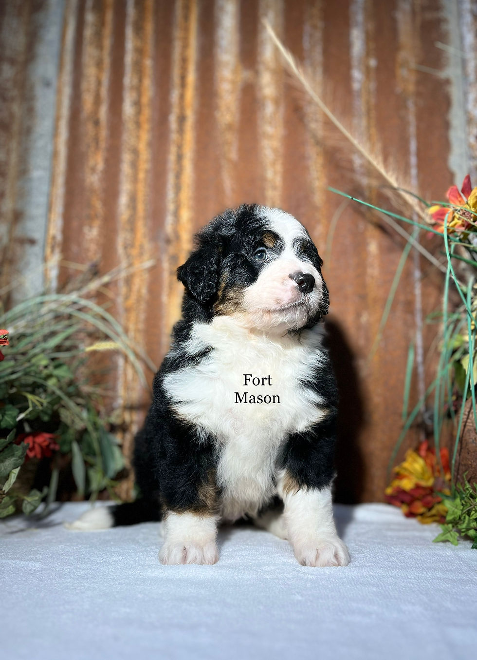 Thumbnail: Waylon (Reserved)