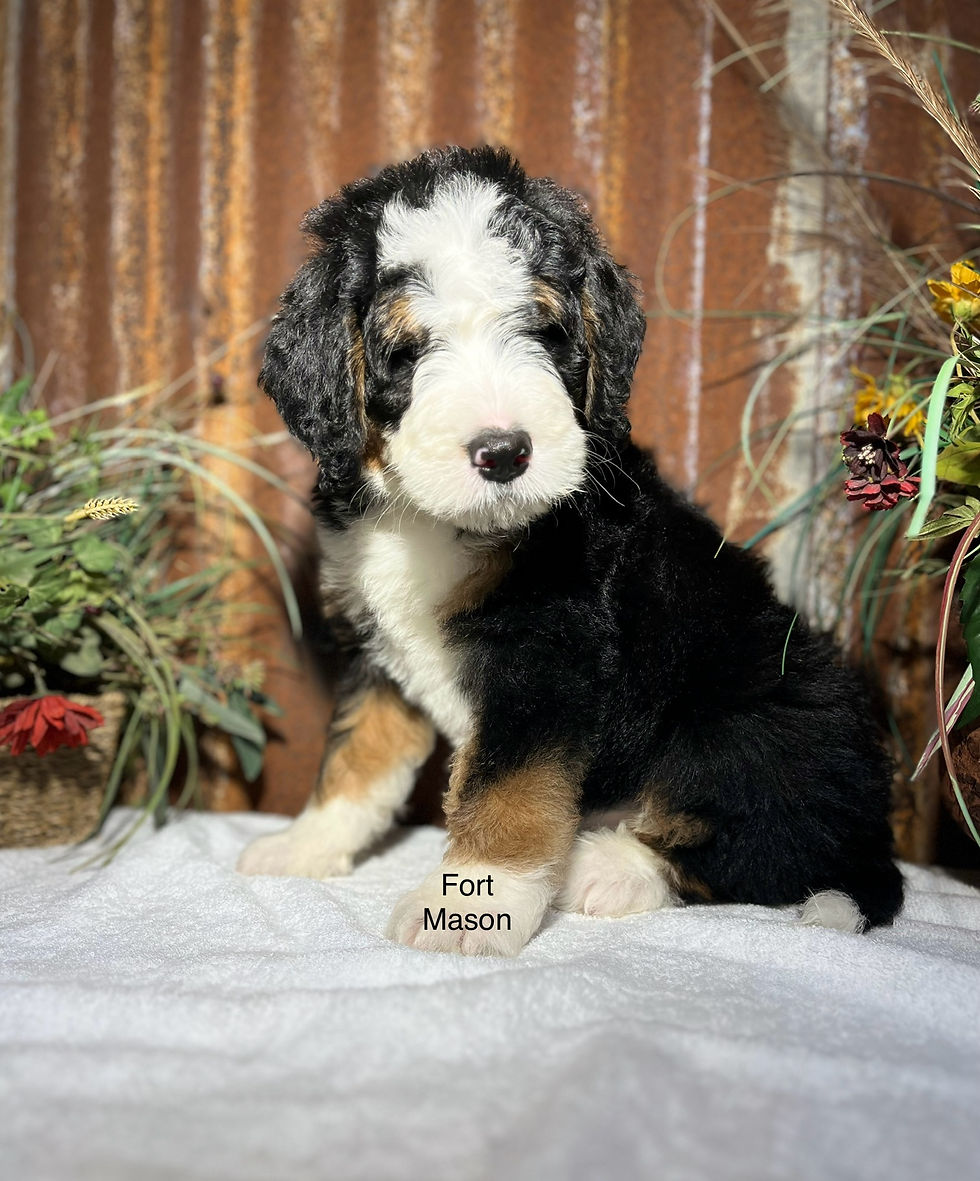 Sully (Reserved)