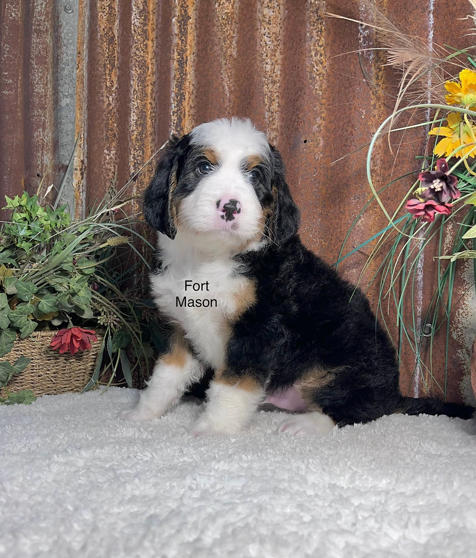 Thumbnail: Waylon (Reserved)
