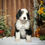 Thumbnail: Ophelia (Reserved)