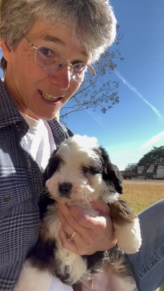 Thumbnail: Teddy (Reserved)
