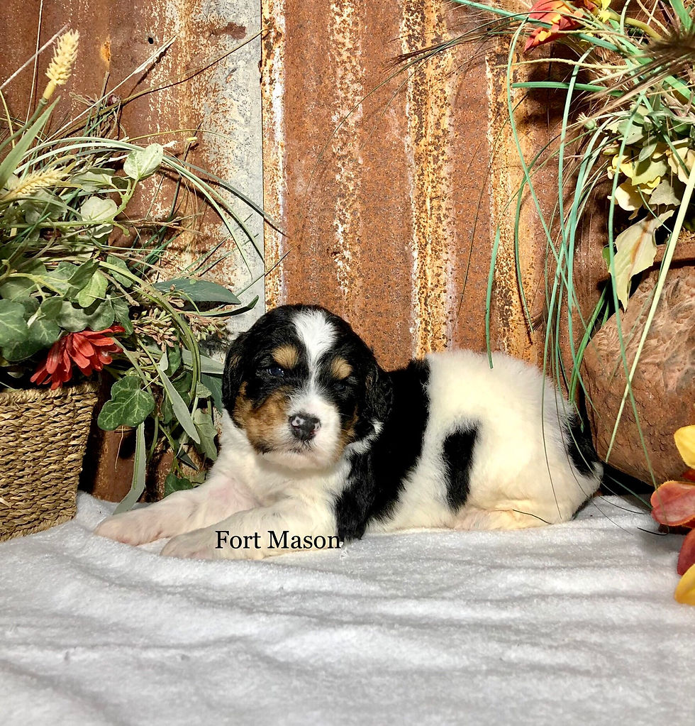 Thumbnail: Lenny (Reserved)