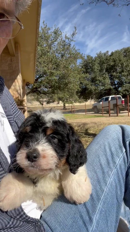 Thumbnail: Tootsie (Reserved)