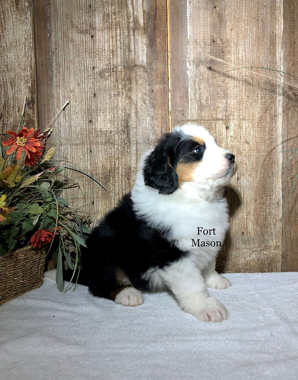 Thumbnail: Nate (Reserved)