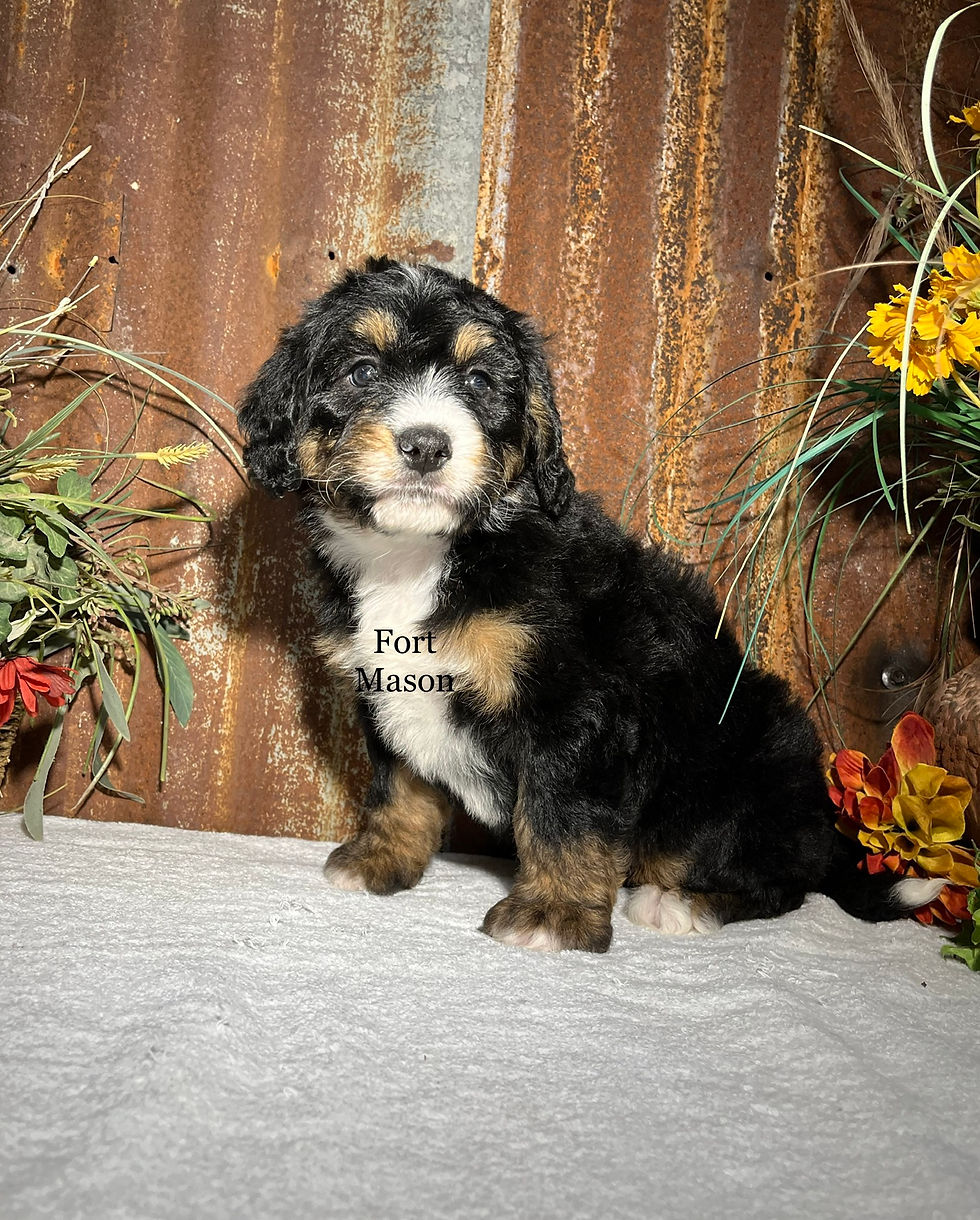 Thumbnail: Winnie (Reserved)