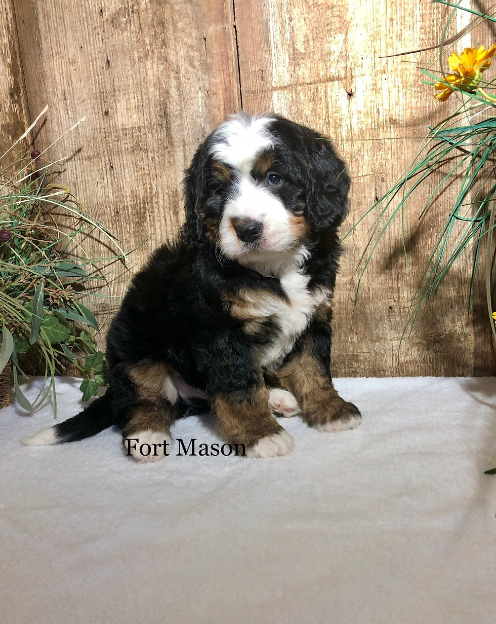 Thumbnail: Yukon (Reserved)