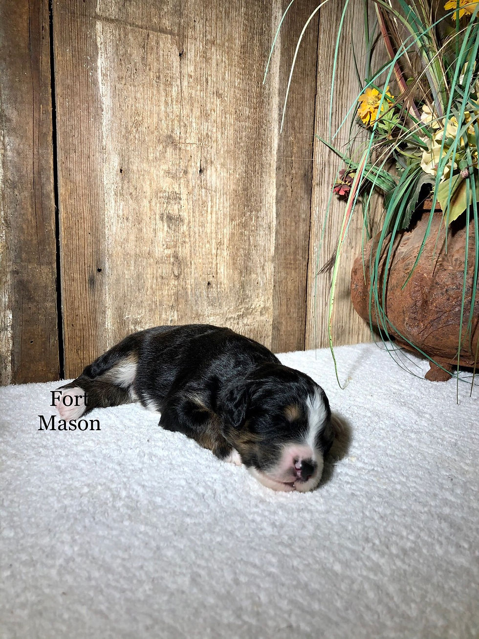Thumbnail: Irwin (Reserved)