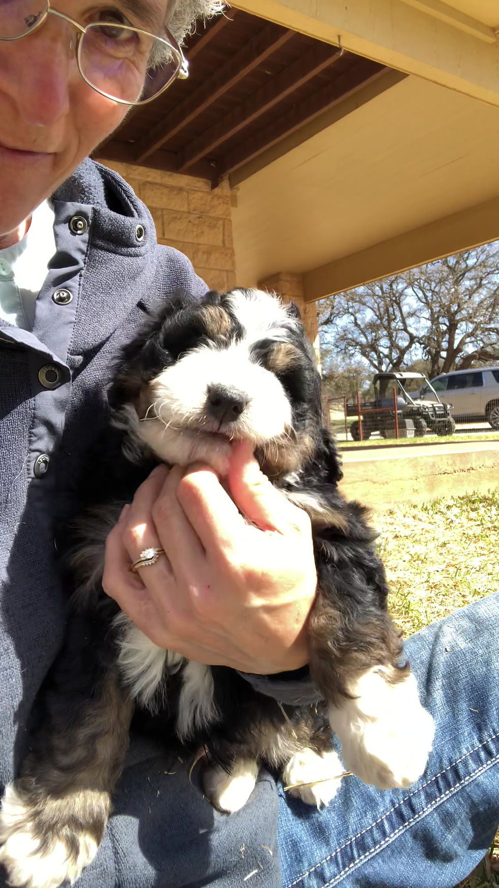 Thumbnail: Thor (Reserved)