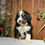 Thumbnail: Hershey (Reserved)