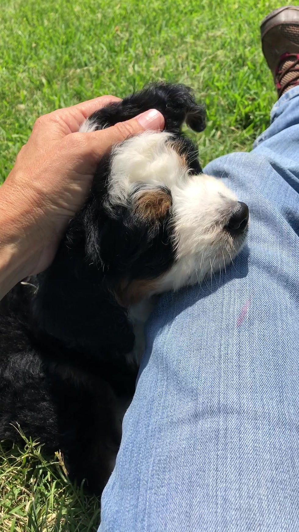 Thumbnail: Dutch (Reserved)