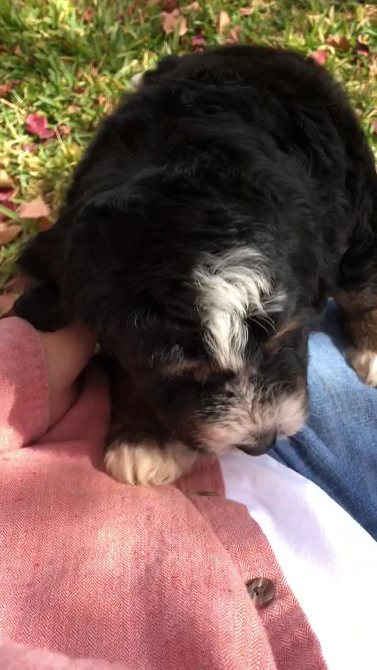 Thumbnail: Oakley (Reserved)