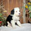 Thumbnail: Roxie (Reserved)
