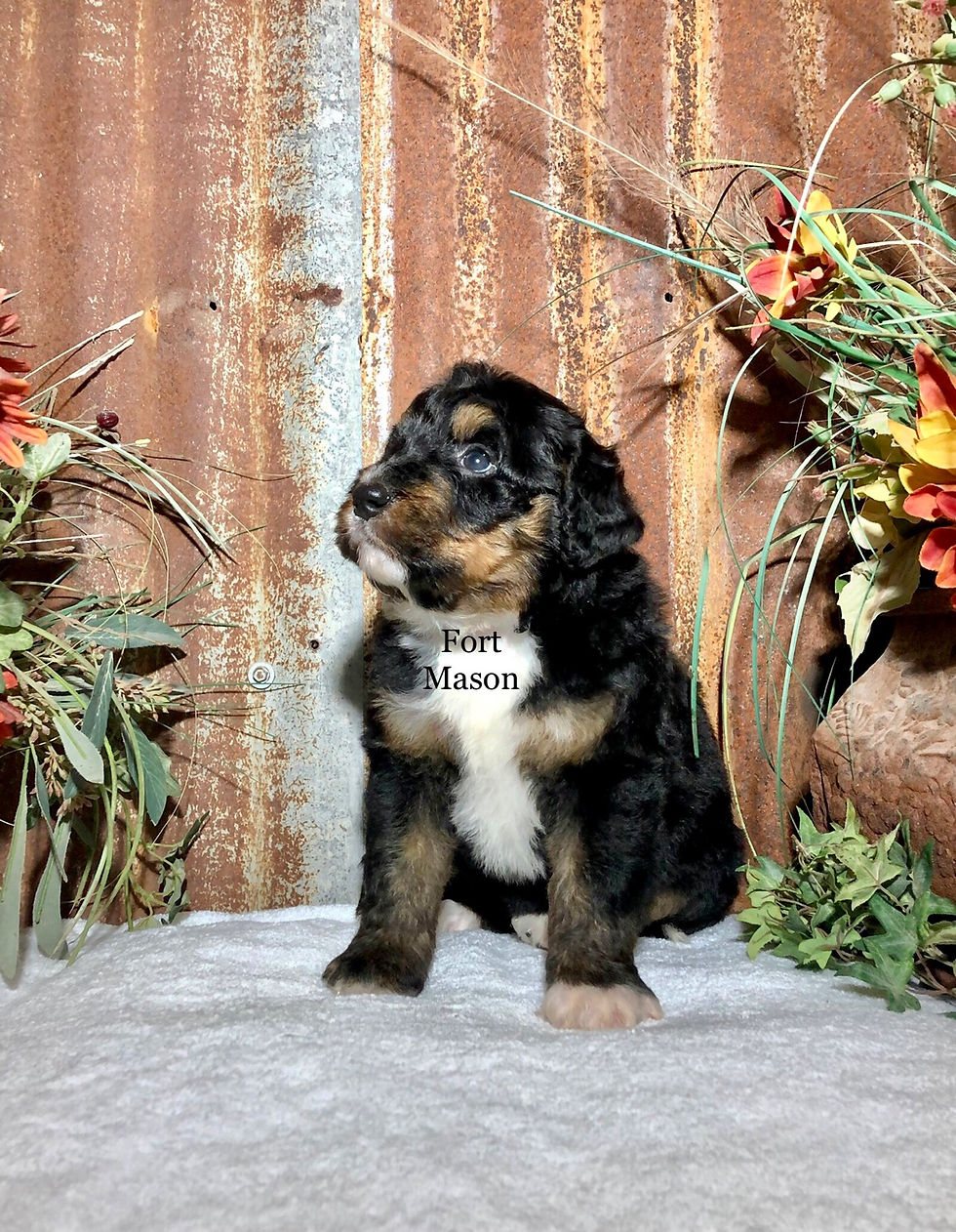 Thumbnail: Yakima (Reserved)