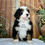 Thumbnail: Virgil (Reserved)