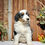 Thumbnail: Abby (Reserved)
