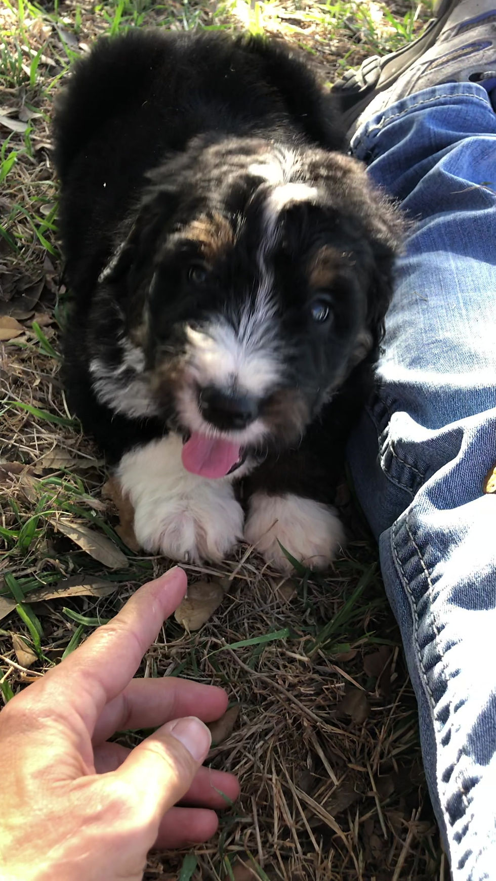 Thumbnail: Lancelot (Reserved)