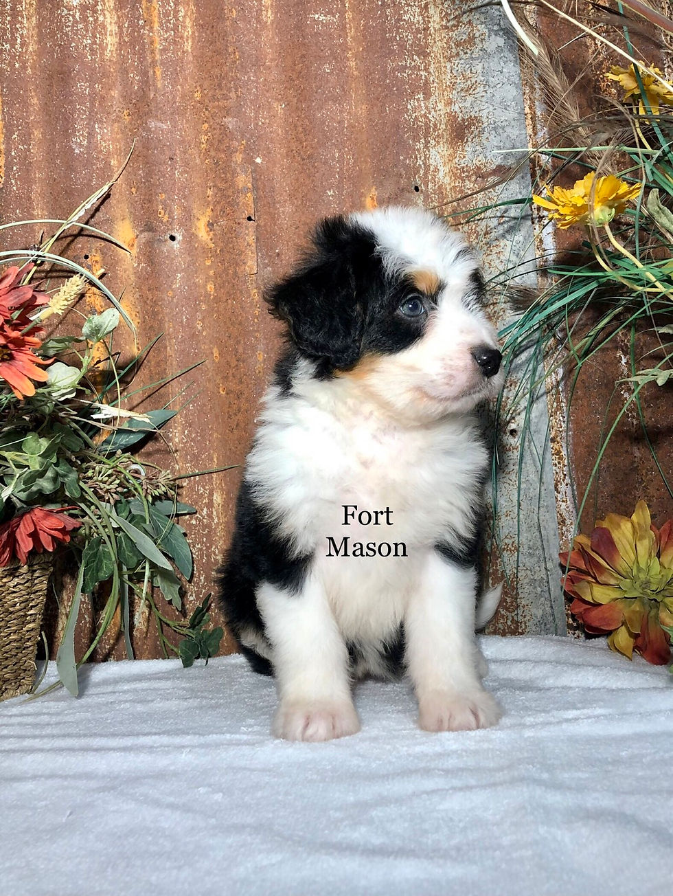 Thumbnail: Minnie (Reserved)