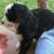 Thumbnail: Dakota (Reserved)