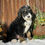 Thumbnail: Quattro (Reserved)