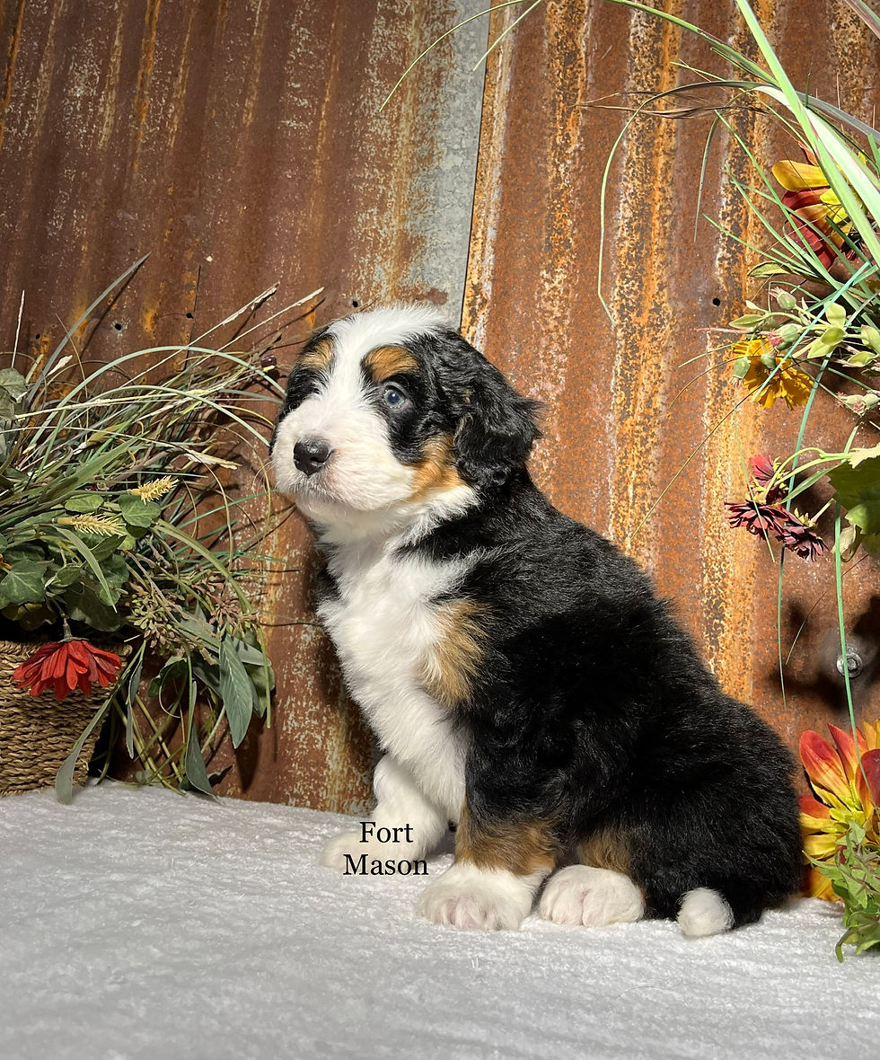 Thumbnail: Zeus (Reserved)