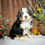Thumbnail: Bessie (Reserved)