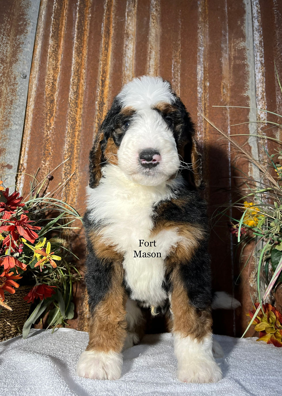 Thumbnail: Quigley (Reserved)