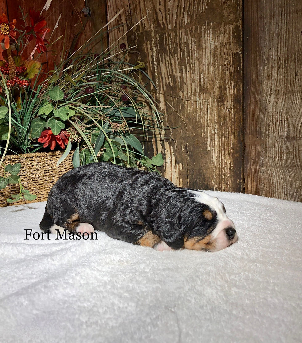 Thumbnail: Yukon (Reserved)