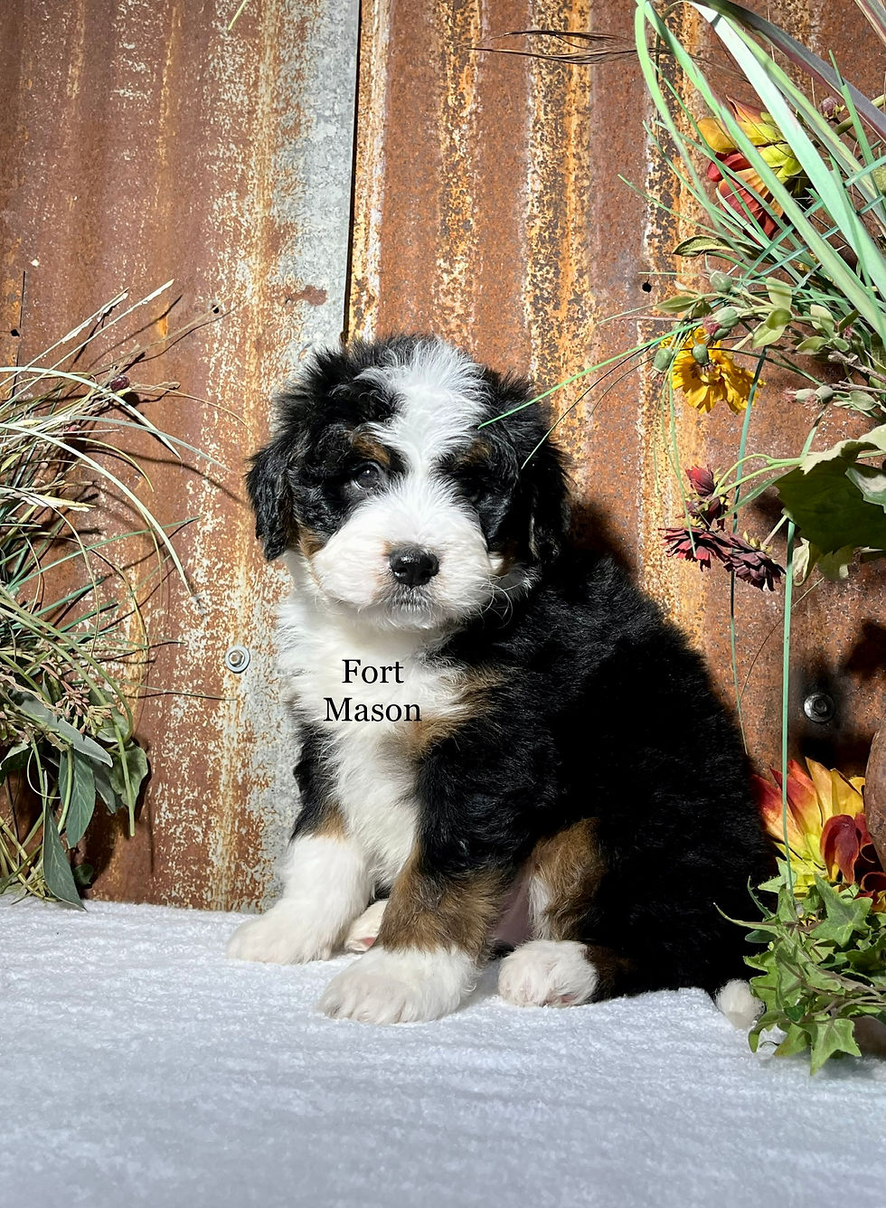 Thumbnail: Yukon (Reserved)