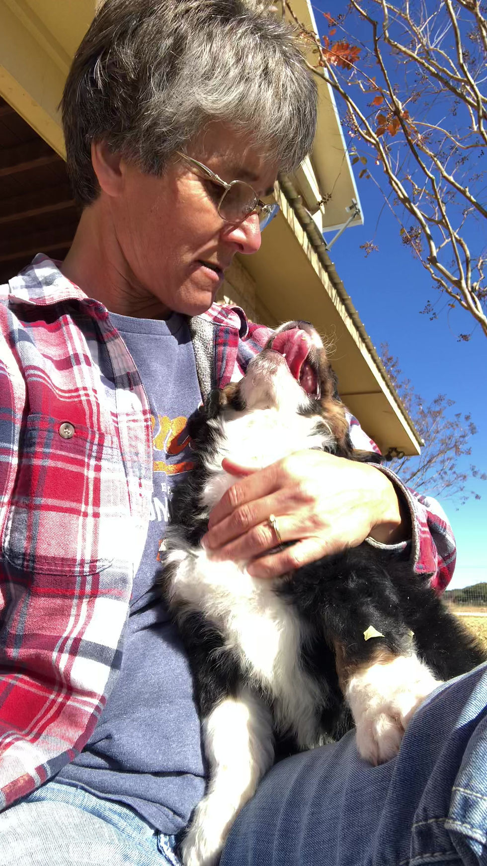 Thumbnail: Odie (Reserved)