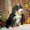 Thumbnail: Yuma (Reserved)