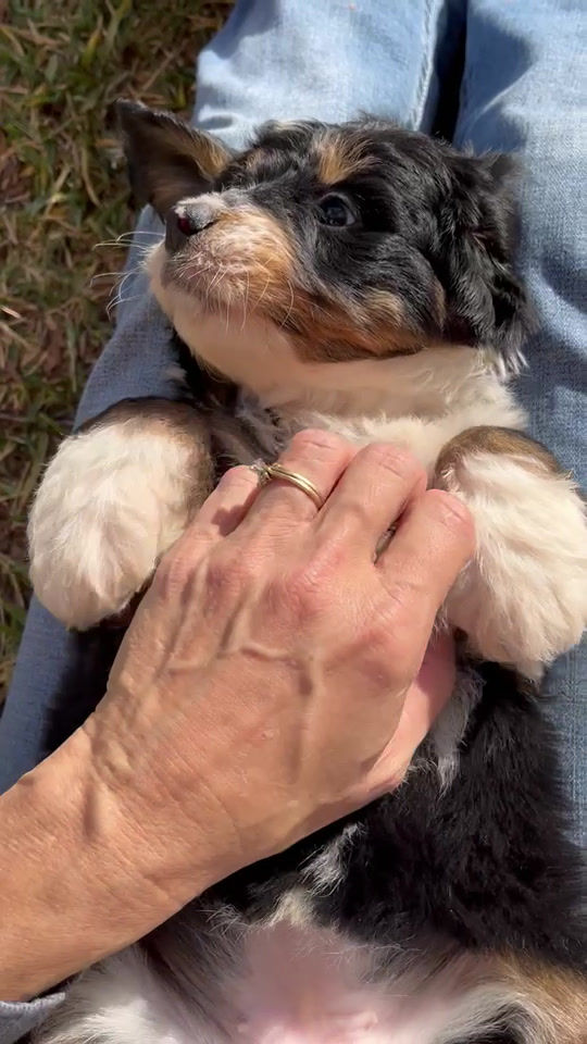 Thumbnail: Uriel  (Reserved)