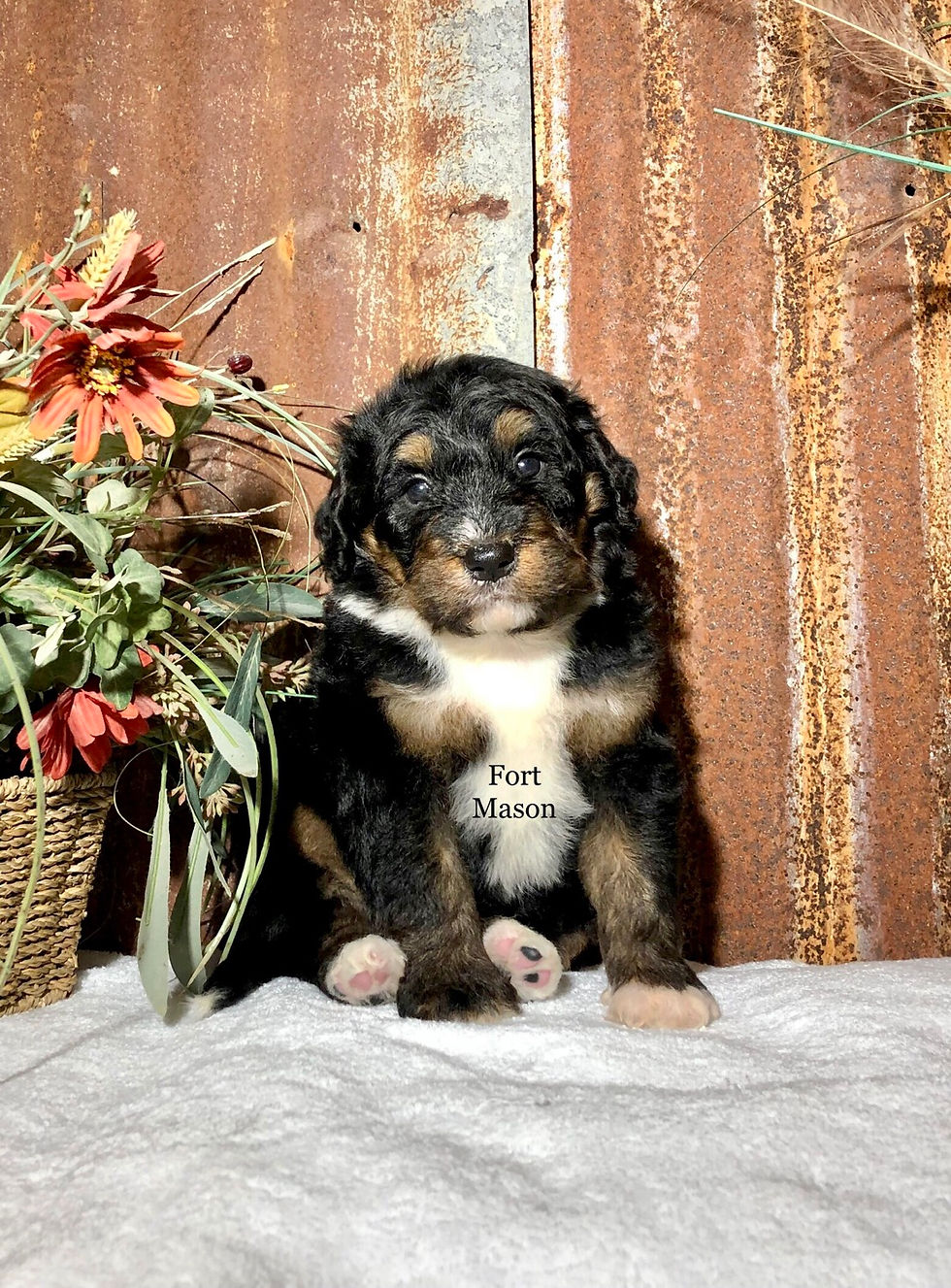 Thumbnail: Yakima (Reserved)