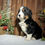Thumbnail: Hank (Reserved)