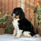 Thumbnail: Lindsi (Reserved)