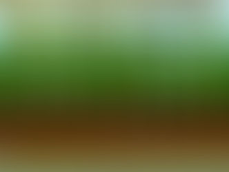 Tiempo De Degradación Residuos